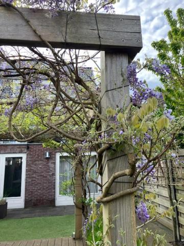 B&B Schiphol Amsterdam Rijsenhout Екстер'єр фото